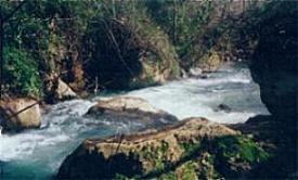 Banias River